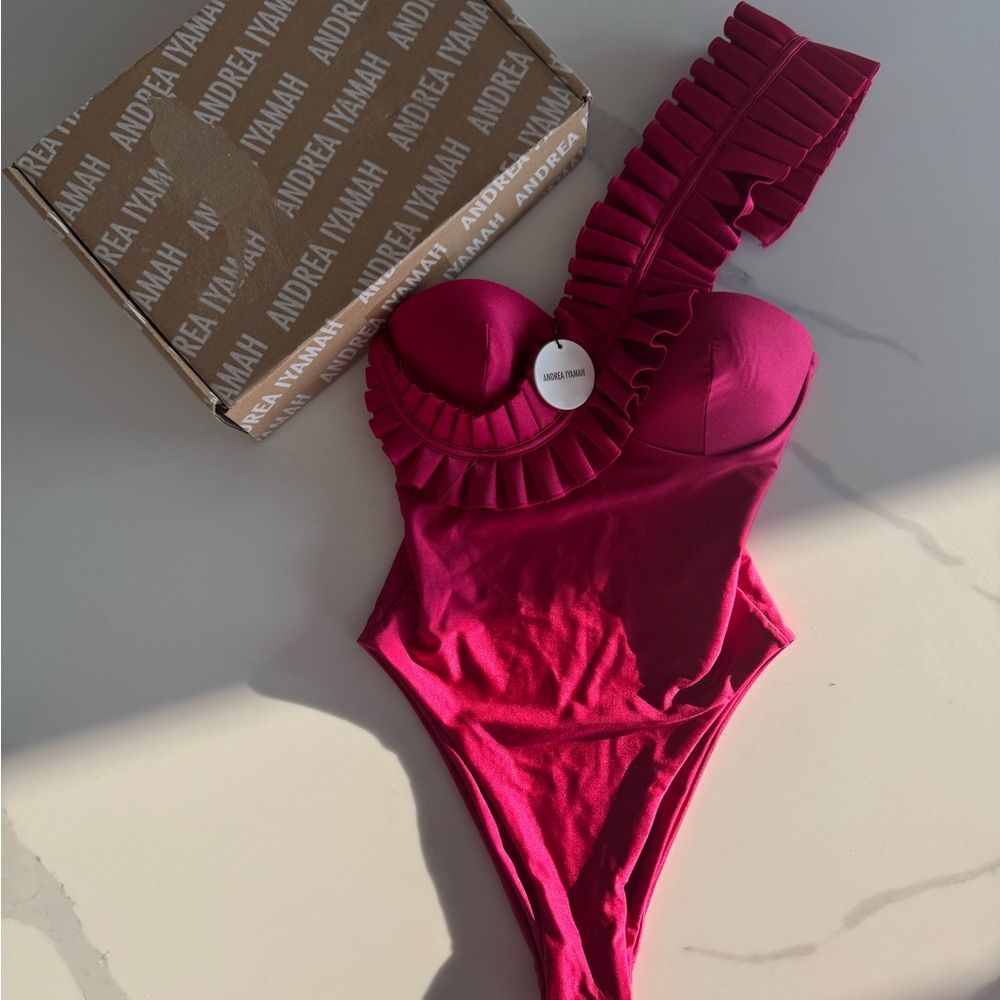 Andrea Iyamah NISI One Piece Swimsuit- WINE